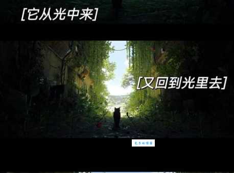迷失结局解析这些细节你注意到了吗