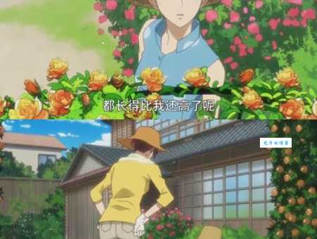 夏雪密会结局解析 男女主角最终选择令人意外