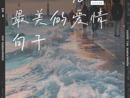 双恋结局大揭秘原来这才是真正的爱情归宿