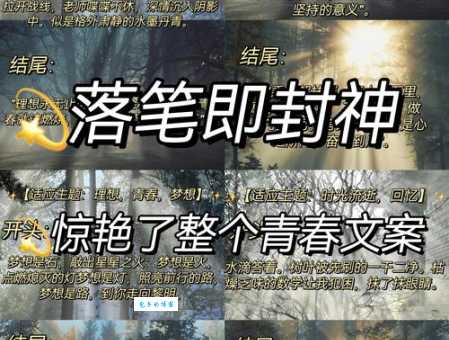 蜂蜜与四叶草结局背后的意义 青春不留遗憾
