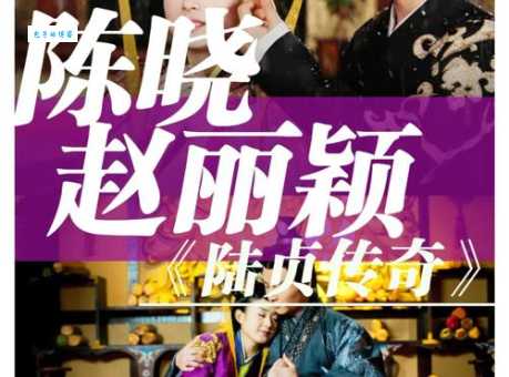 陆贞传奇大结局剧情介绍 高湛陆贞最后在一起了吗