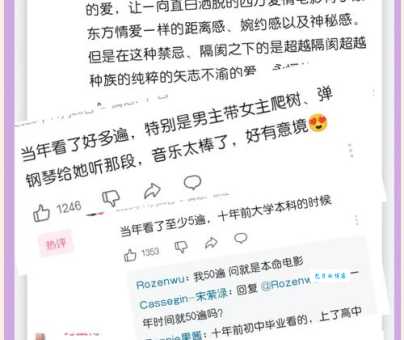 暮光之城小说结局深度剖析作者埋下的伏笔