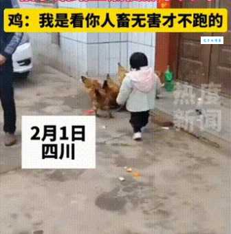 人畜无害是什么意思 看完你就明白了