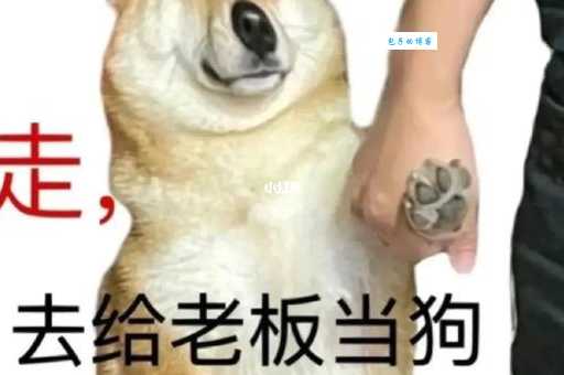 天选打工人是什么梗 当代职场人的自嘲与幽默