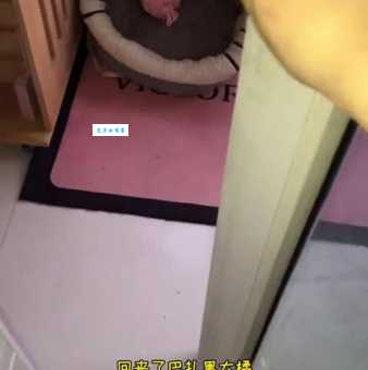 巴扎黑是什么意思 一篇文章告诉你答案