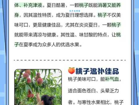 吃个桃桃好凉凉是什么梗 这个梗的由来和含义
