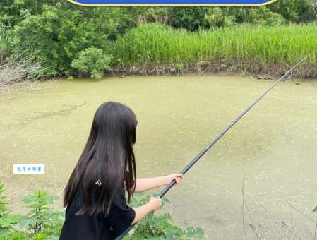 这片鱼塘被我承包了是什么意思背后的故事揭秘