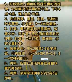 鱼类三场是什么新手必看的钓鱼技巧解析