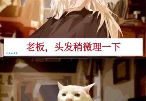 托尼老师是什么意思原来是指理发师啊