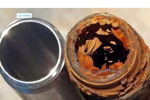 耗子为汁啥意思网友热议的搞笑梗出处大解析