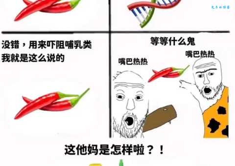 蚌埠住了是什么梗 原来这个梗是这么来的