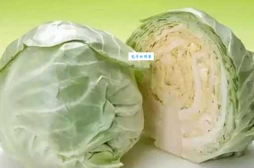 卷心菜是什么梗 原来这个梗出自这里