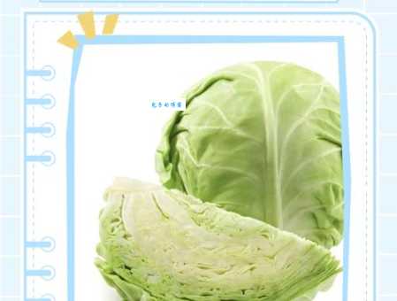 卷心菜是什么梗 原来这个梗出自这里