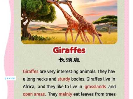 长颈鹿有几个心脏 科学解答这个有趣的问题