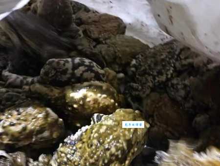 石屎是什么意思 香港人为什么叫混凝土石屎