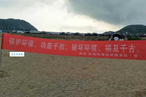 蓝海行动是什么意思 通俗易懂的解答