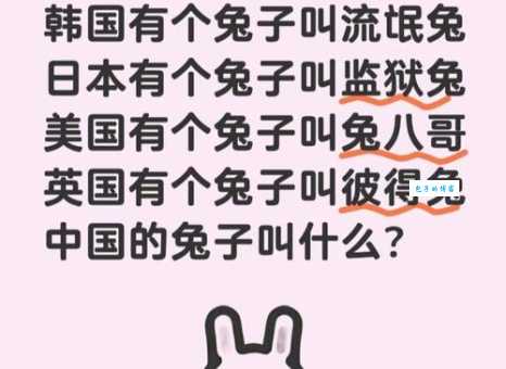 马克兔是什么意思 揭秘这个网络流行语的由来