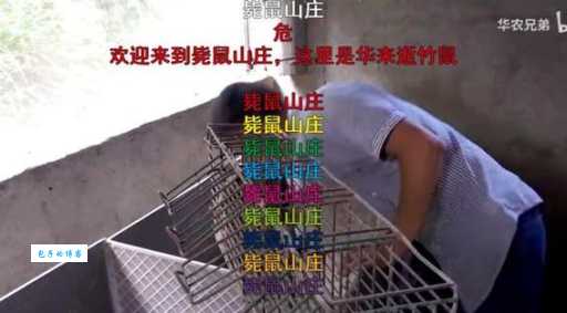 卖竹鼠是什么梗 原来这个梗背后有这么多故事