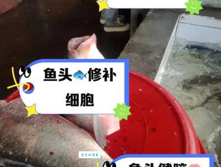 鱼头人是什么意思 年轻人都在用的新梗解读