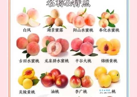 想桃子吃是啥意思网络流行语解析来了