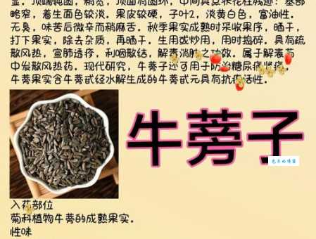 嗦牛子是什么意思具体用法和例子