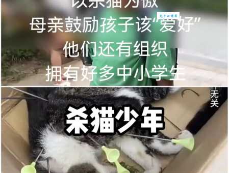 多图杀猫是什么意思 这个网络梗的由来揭秘