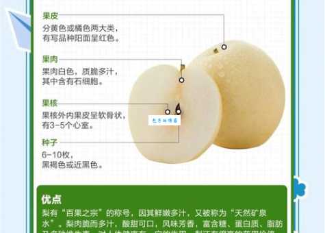 为什么梨子是温度最高的水果 揭秘梨子温热的秘密