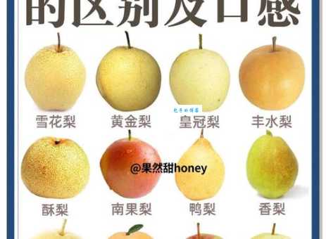 为什么梨子是温度最高的水果 揭秘梨子温热的秘密