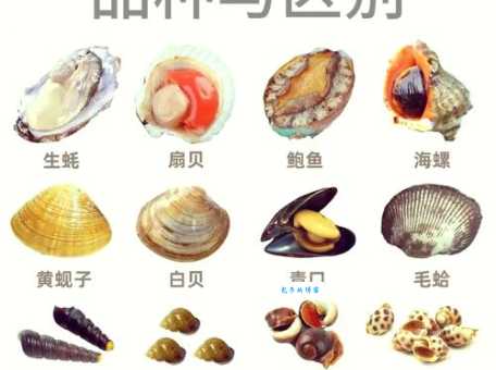 海麻线是什么为什么它被称为海洋宝藏