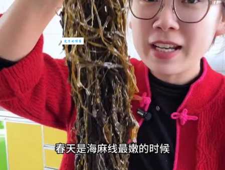 海麻线是什么为什么它被称为海洋宝藏
