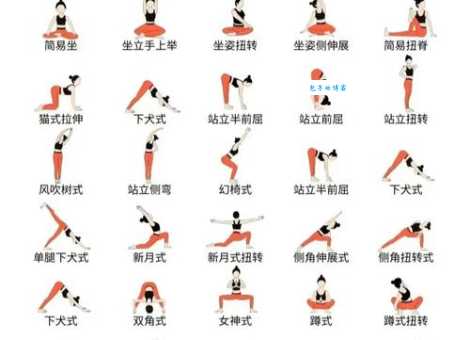 海星吸盘式是什么动作 健身达人都在练的秘密
