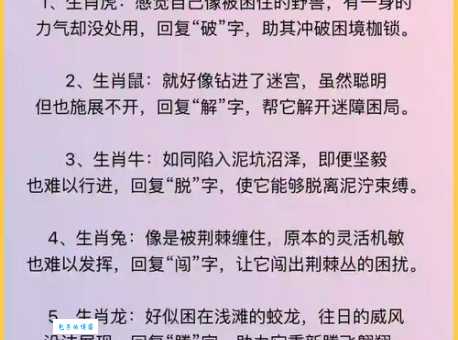 目光短浅打一动物生肖是什么正确答案在这里