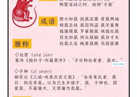 天下一家打一生肖是什么生肖谜底大揭秘