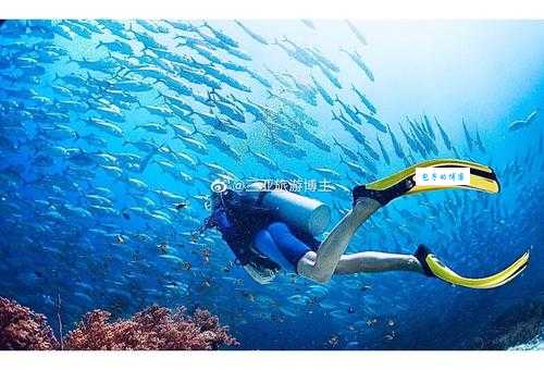 海角社区是干嘛的 用户真实体验分享