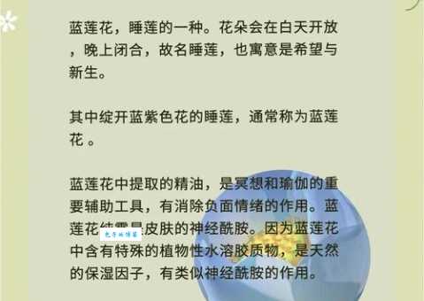蓝莲花是什么意思 解析蓝莲花的来历与故事