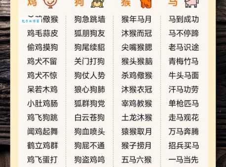 屡试屡成猜一种动物答案让人意想不到