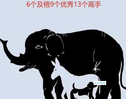 屡试屡成猜一种动物答案让人意想不到