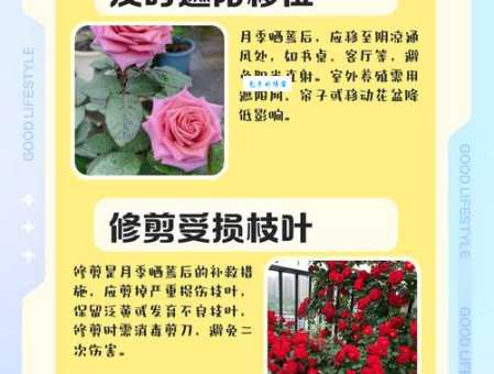晒蔫是什么意思 避免植物晒蔫的小妙招