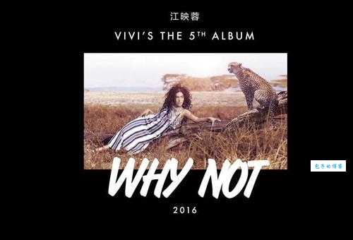 why so so serious什么梗 这个流行语出自哪部电影