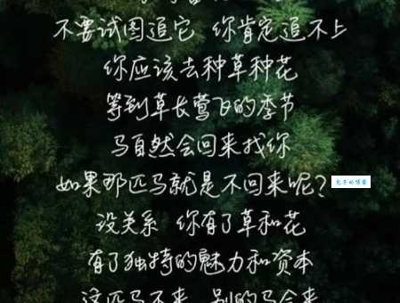 荷里活是什么意思和好莱坞有什么区别看完就懂