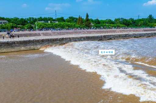 什么潮水连江平 这种自然景观为何如此壮观