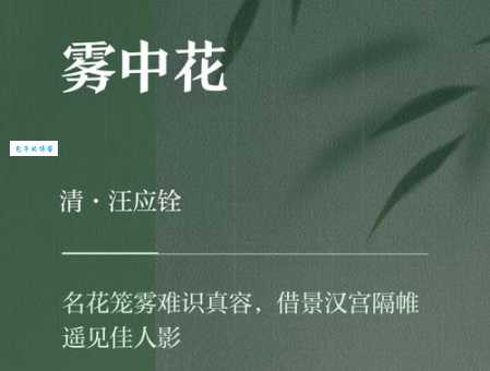 雾里看花什么意思 教你轻松理解这个成语