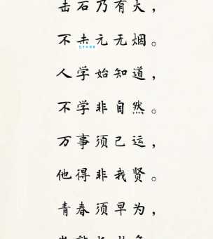 青春须早为的下一句是什么 经典诗句完整版