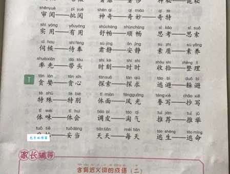 十面埋妇近义词和反义词有哪些一文全知道