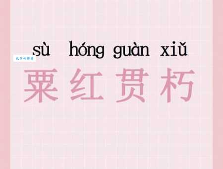 粟红贯朽的正确发音是什么 意思和用法一次讲清楚