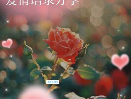 至死不渝是什么意思 爱情中的承诺有多深