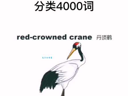 鹈鹕怎么读一分钟学会这个字的正确念法