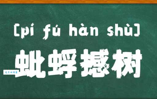 蚍蜉撼大树同义词有哪些这些词你都知道吗