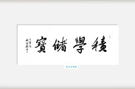 元储是什么意思 元储的基本含义和常见场景