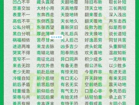 血肉模糊的同义词反义词区别在哪里一看就明白